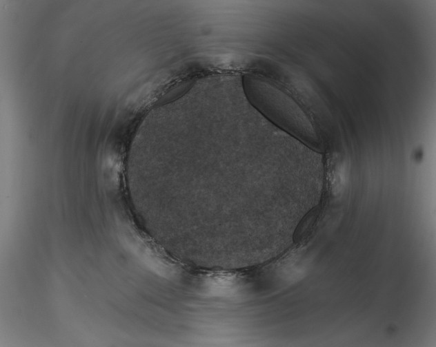 X0000115530235200911271354