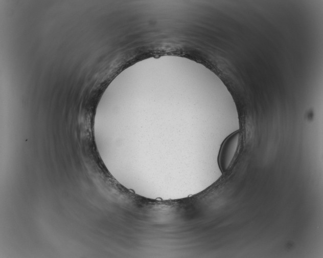 X0000115530236200911271354