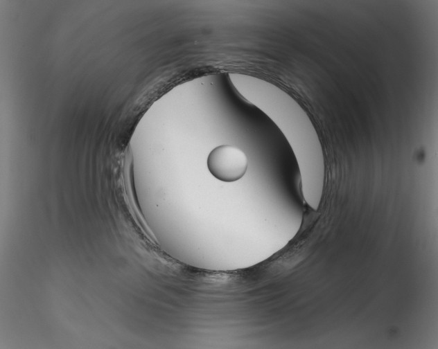 X0000115530237200911271354