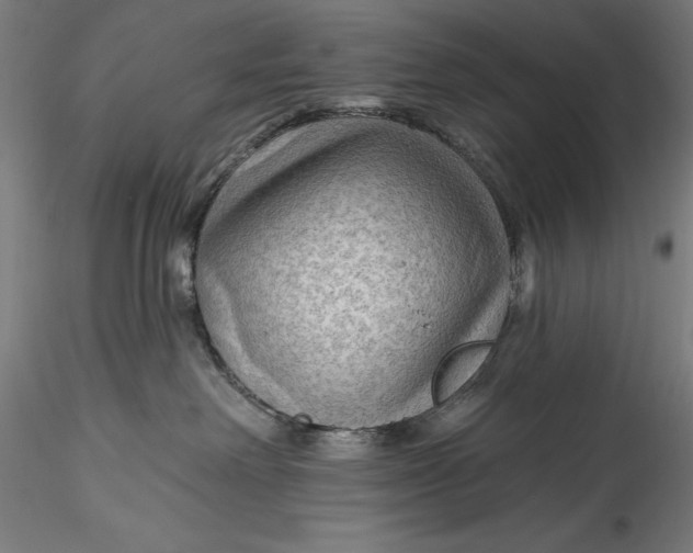 X0000115530238200911271354