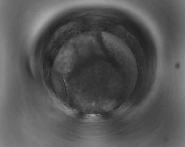 X0000115530239200911271354