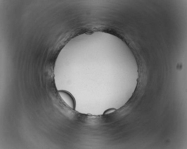 X0000115530240200911271354