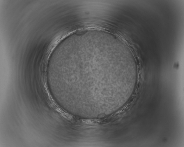 X0000115530241200911271353