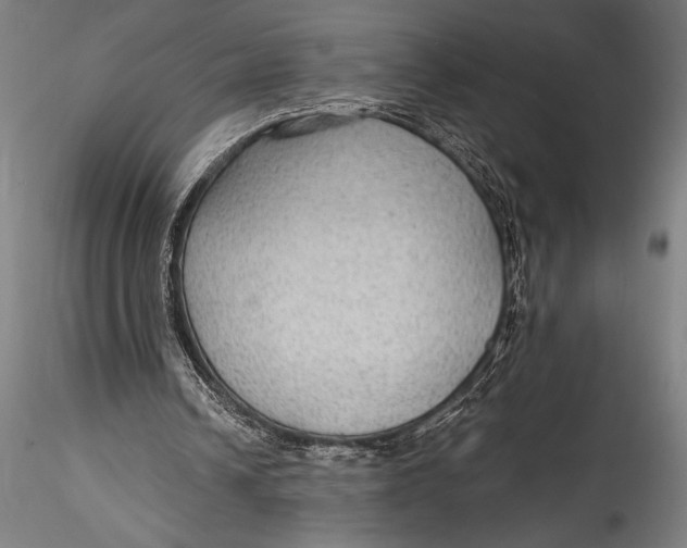 X0000115530242200911271353