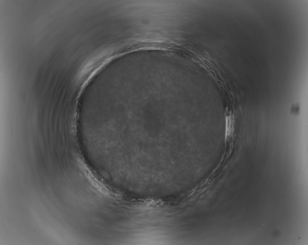 X0000115530243200911271353