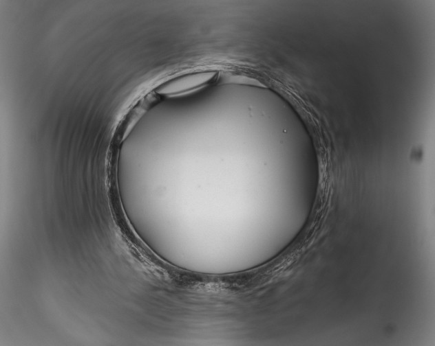 X0000115530244200911271353