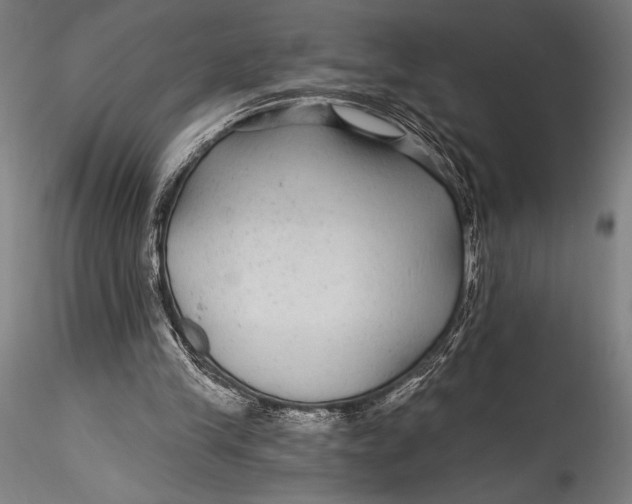 X0000115530245200911271353