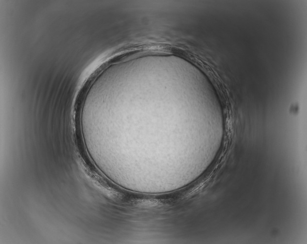 X0000115530246200911271353