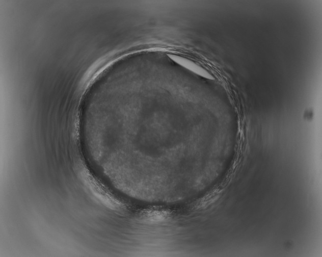 X0000115530247200911271353