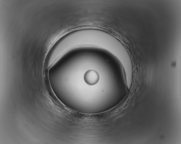 X0000115530248200911271353