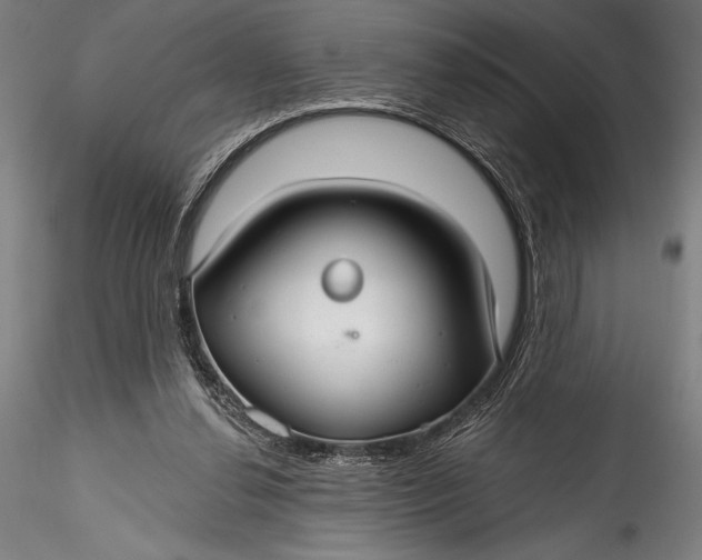 X0000115530252200911271353