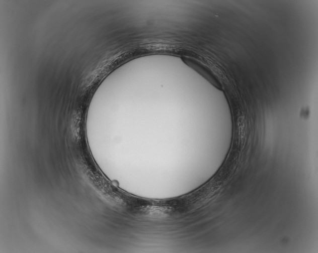 X0000115530255200911271353