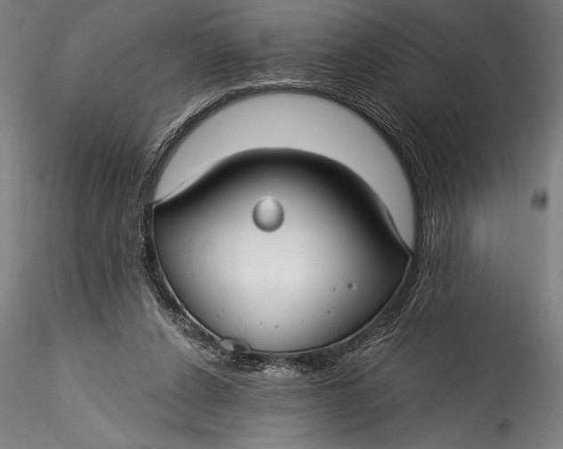 X0000115530256200911271353