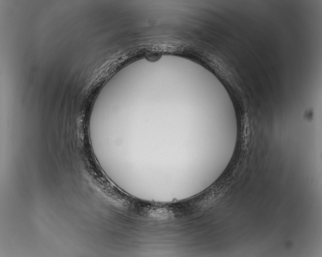 X0000115530258200911271353