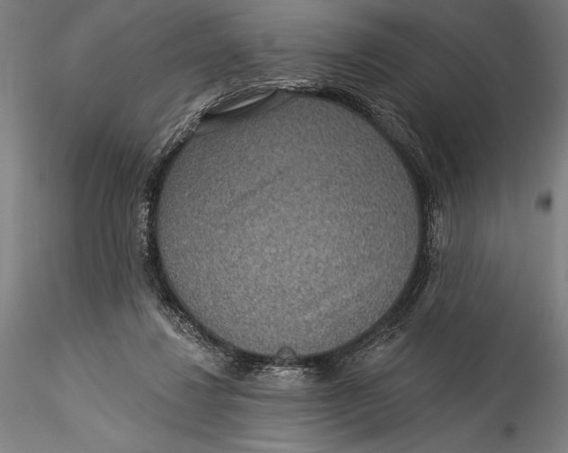 X0000115530260200911271353