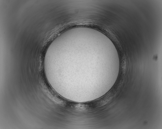 X0000115530261200911271353