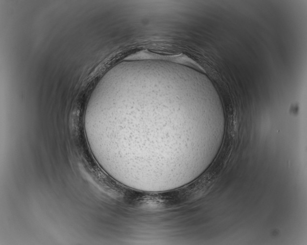 X0000115530263200911271353