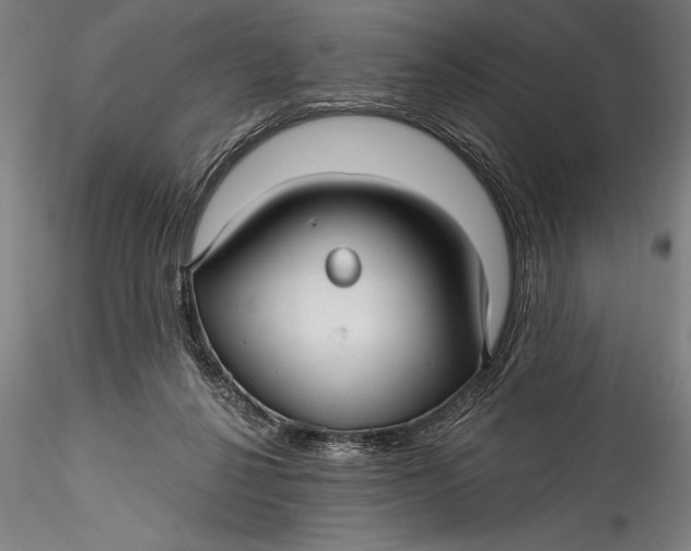 X0000115530264200911271353