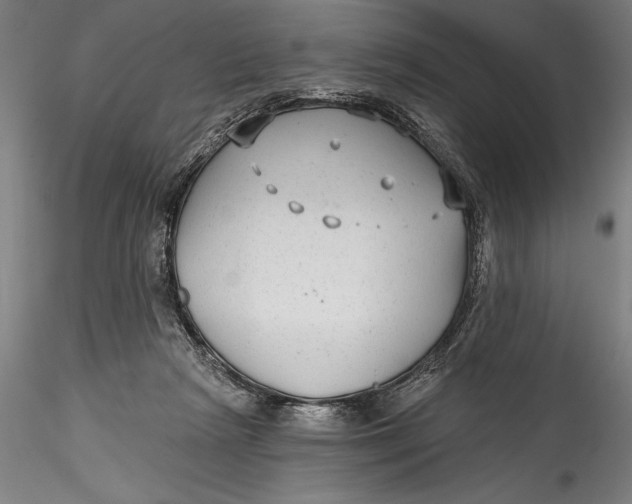 X0000115530265200911271353