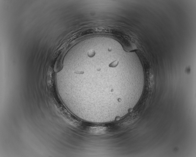 X0000115530266200911271353