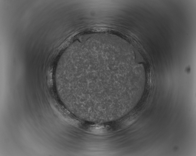 X0000115530267200911271353