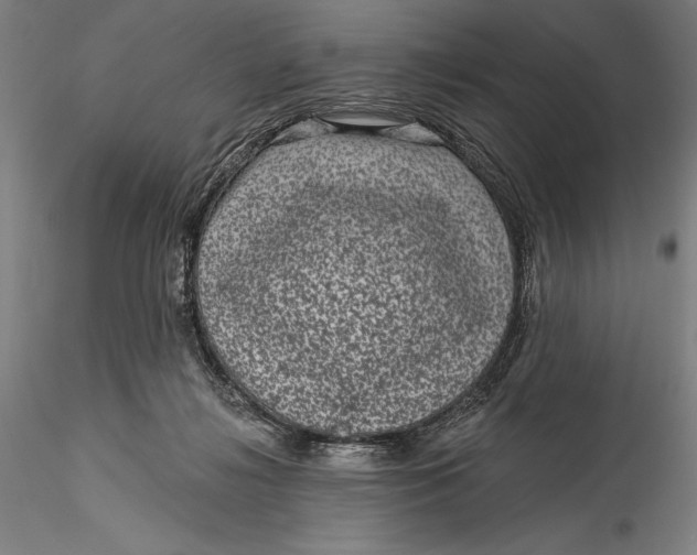 X0000115530268200911271353