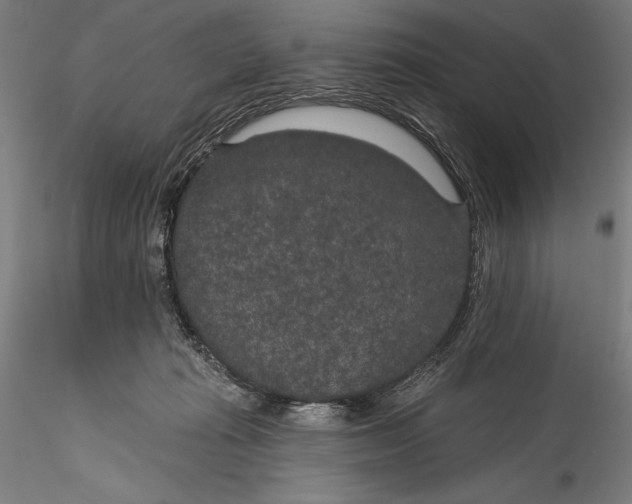 X0000115530269200911271353