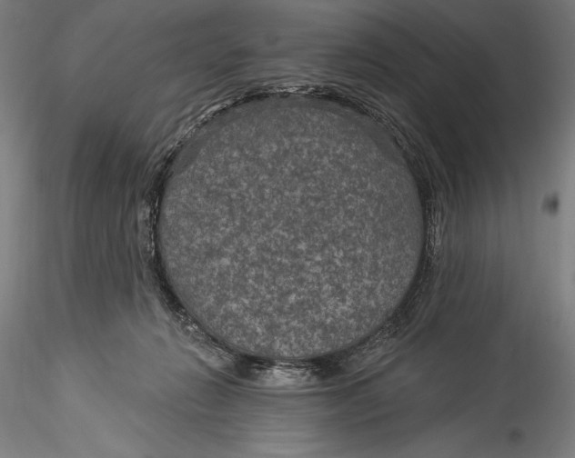 X0000115530270200911271353