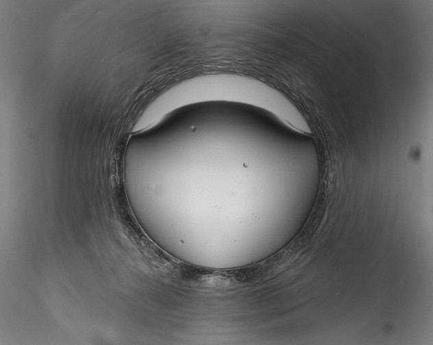 X0000115530272200911271353