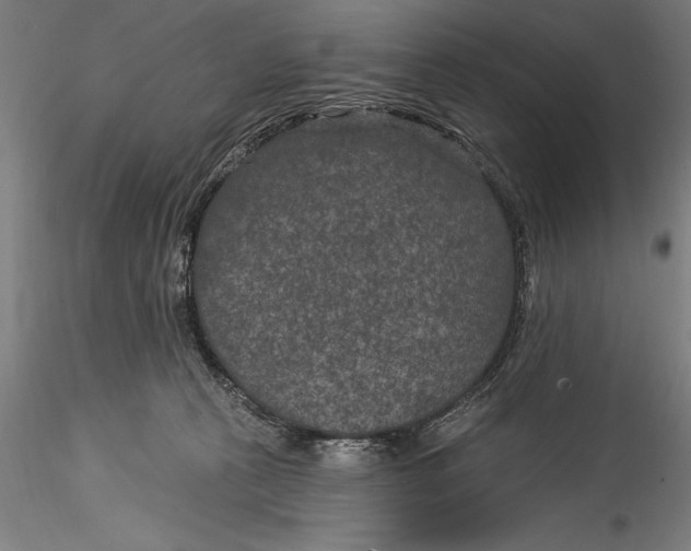 X0000115530273200911271353