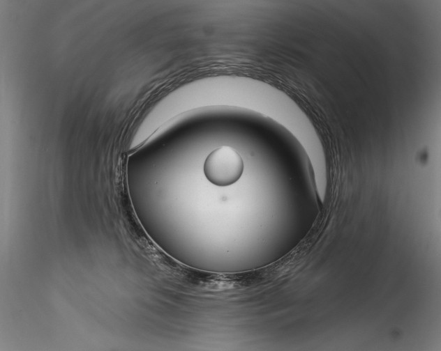 X0000115530276200911271353