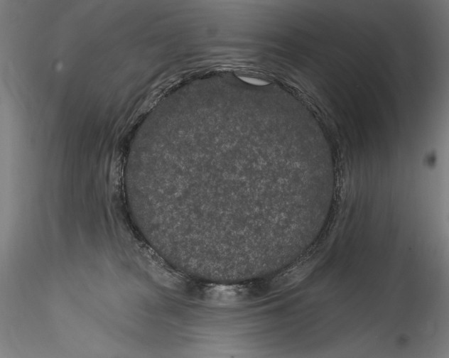 X0000115530277200911271353