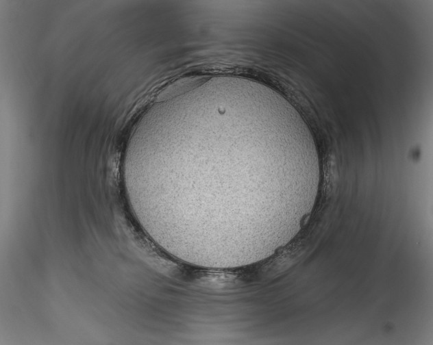 X0000115530278200911271353