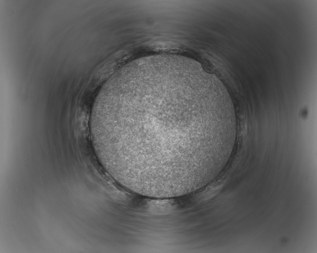 X0000115530281200911271353