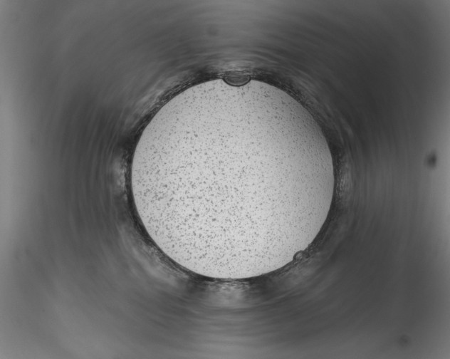 X0000115530282200911271353