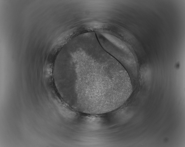 X0000115530284200911271353