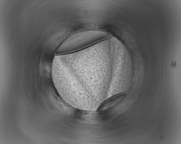 X0000115530288200911271354