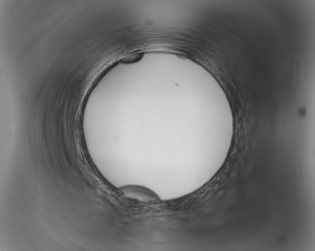 X0000115530289200911271353