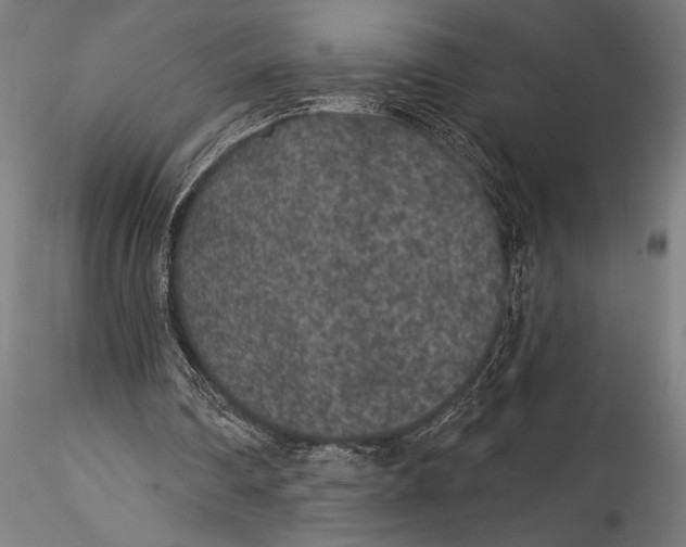 X0000115530290200911271353