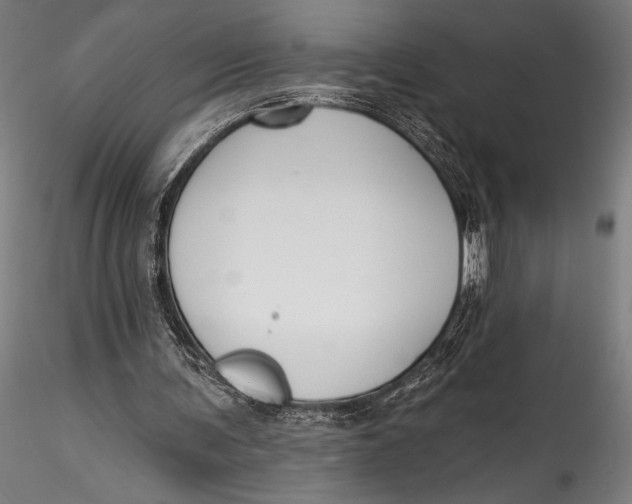 X0000115530291200911271353