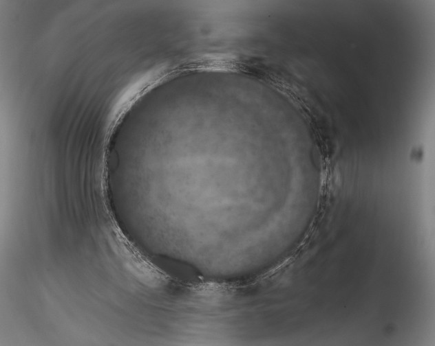 X0000115530293200911271353