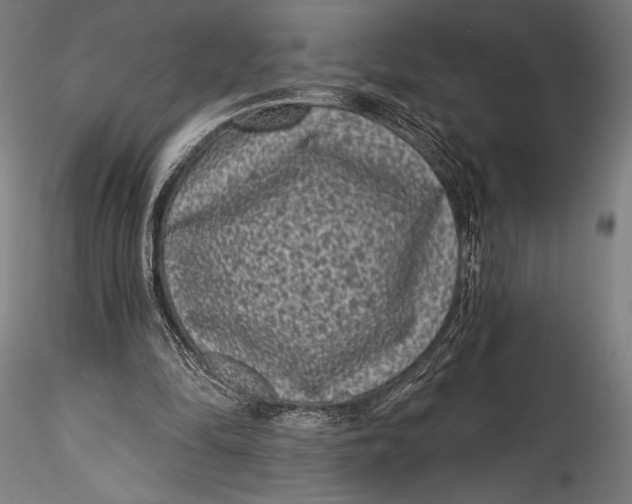 X0000115530294200911271353