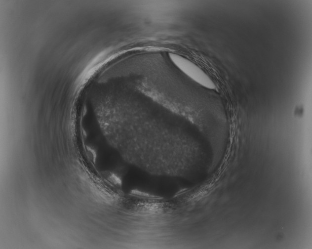 X0000115530295200911271353