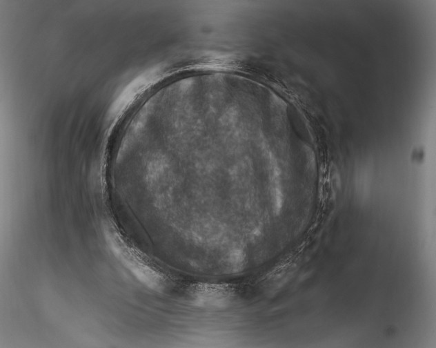 X0000115530296200911271353