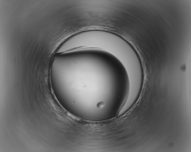 X0000115530297200911271352