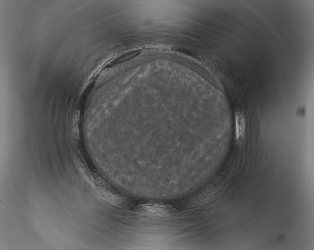 X0000115530300200911271352