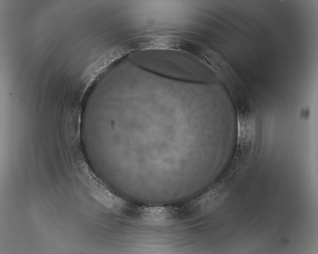 X0000115530301200911271352