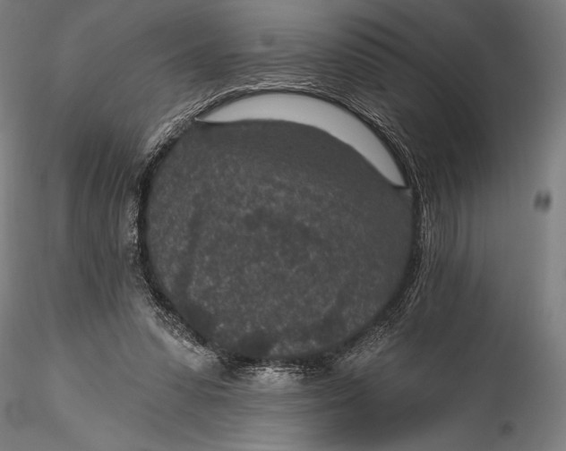 X0000115530303200911271352