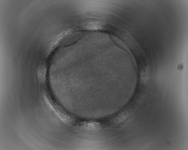 X0000115530304200911271352