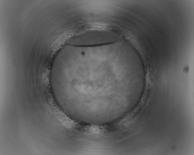 X0000115530305200911271352